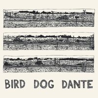 Bird Dog Dante - John Parish CD