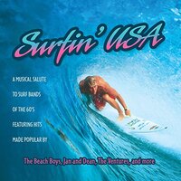 Surfin Usa Various -Various Artists CD