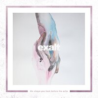 Shape You Took Before The Ache -Exalt CD