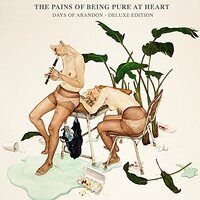 Days Of Abandon -Pains Of Being CD