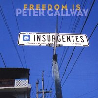 Freedom Is -Peter Gallway CD