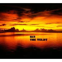 The Veldt -Hb3 CD