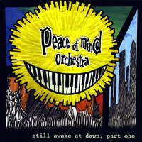 Still Awake At Dawn Pt. 1 -Peace Of Mind Orchestra CD