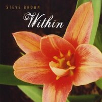 Within -Steve Brown CD