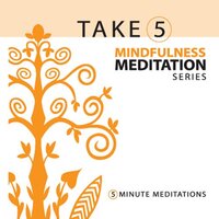 Take 5 Mindfulness Meditation Series: 5-Minute Med -Corinne Zupko CD