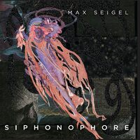 Siphonophore - Max Seigel CD