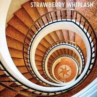 Stuck In The Never Ending Now -Strawberry Whiplash CD