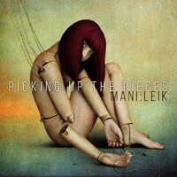 Picking Up The Pieces - Mani Leik CD