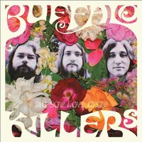 Dig Sow Love Grow -Buffalo Killers CD