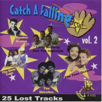 Catch a Falling Star (25 Cuts) 2 / Various - Various Artists CD