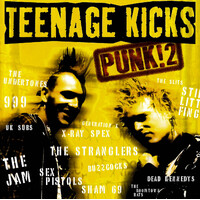 Various - Teenage Kicks: Punk 2 PRE-OWNED CD: DISC EXCELLENT