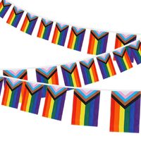 2 Pack x 3.6m Pride Bunting Flag Rainbow Gay LGBTQ+ Inclusive Party Birthday Banner Hanging Decor