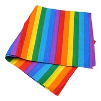 Gay Pride Rainbow Flag LGBTQ+ Bandana Festival Party Lesbian Inclusive Face Wrap