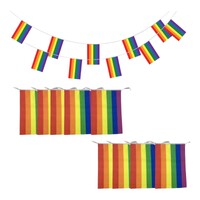 3.6m Gay Rainbow LGBTQ+ Pride Inclusive Bunting Flag Party Birthday Banner Hanging Decor